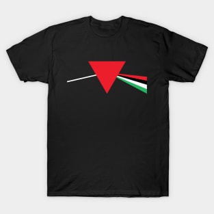 Palestinian Liberation (Prism) T-Shirt